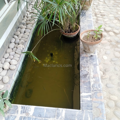 Dream House For Sale - Block 10-A Gulshan e Iqbal - Karachi