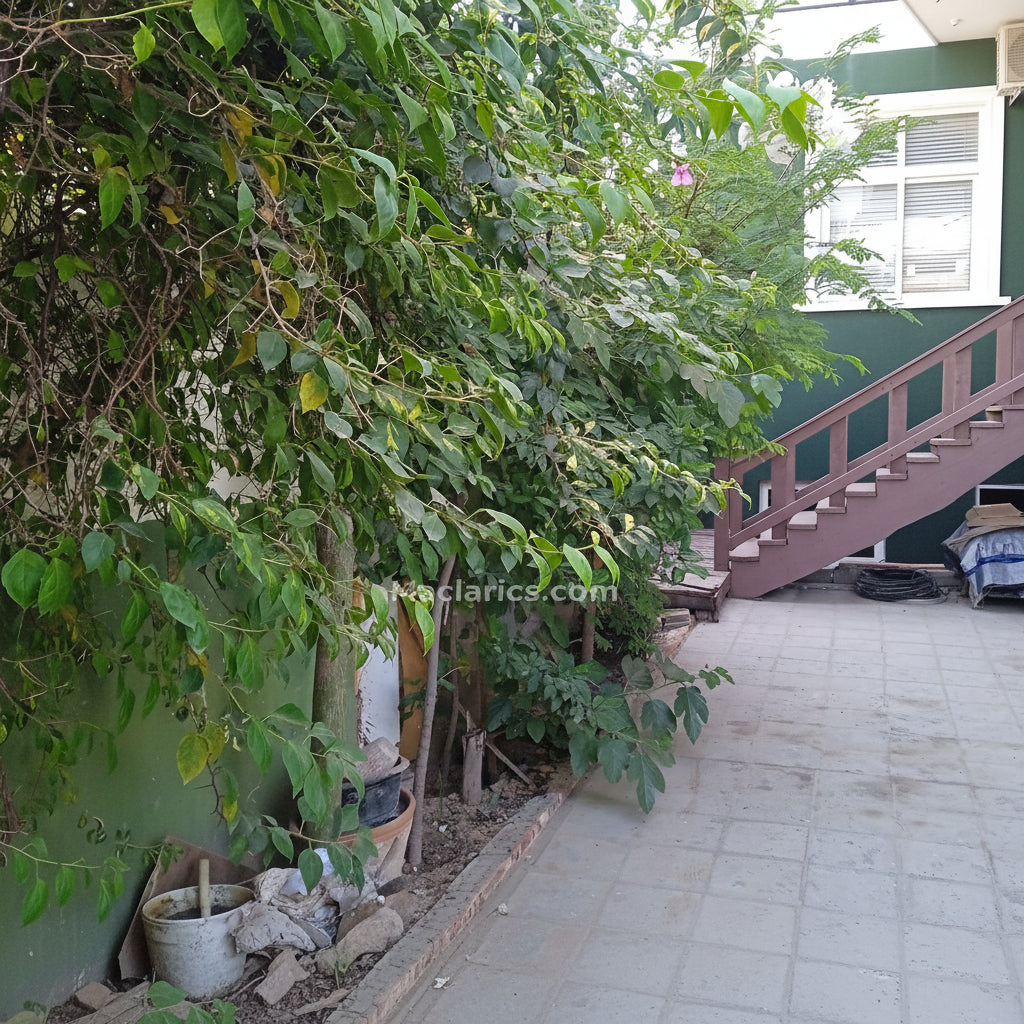Dream House For Sale - Block 10-A Gulshan e Iqbal - Karachi